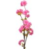 Clayre & Eef 5PL0095 Deko Ast mit Blumen Rosa 10x8x92 cm