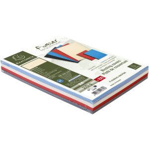 Exacompta 2789C Copertă 100 pachet Evercover 270g piele cu relief DIN A4