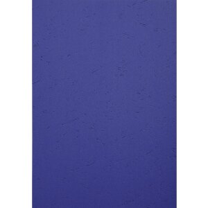 Exacompta 2790C Copertă din piele cu relief A4 270g...