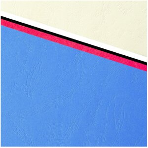 Exacompta 2790C Copertă din piele cu relief A4 270g albastru închis 100 bucăți