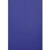Exacompta 2790C Copertă din piele cu relief A4 270g albastru închis 100 bucăți