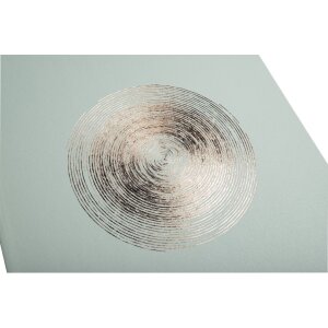 Exacompta 16263E Fotoalbum 60 Seiten Ellipse grau-grün 29x32cm für 300 Fotos