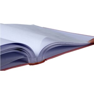 Exacompta 16566E Fotoalbum TEDDY 29x32 cm 60 Seiten weiß Einband Teddybär Rosa