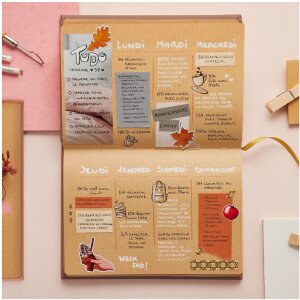 Quo Vadis Life Journal Dots Hellrosa 15x21cm Clairefontaine Papier Kraft Edition