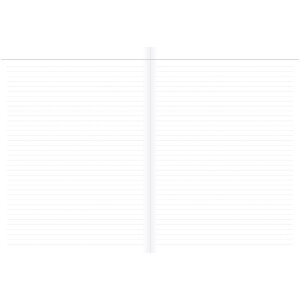 Quo Vadis Notizbuch Ikonische Mehrfarben Liniert 15x21 cm