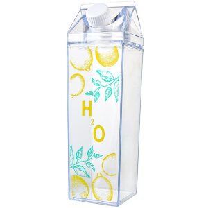 Clayre & Eef 65705 Trinkflasche 750 ml 7x7x23 cm