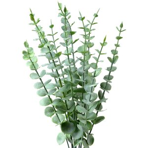 Clayre & Eef 6PL0278 Decorațiune Creangă Verde...