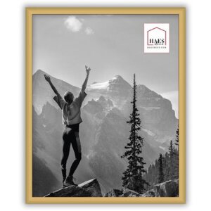 Haes Deco EF12G Easy Frame Gold Kunststoffrahmen 20x25 cm