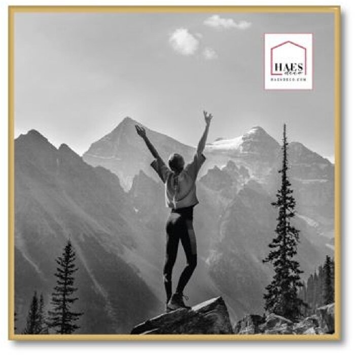 Haes Deco Easy Frame cadru foto din plastic auriu 50x50 cm