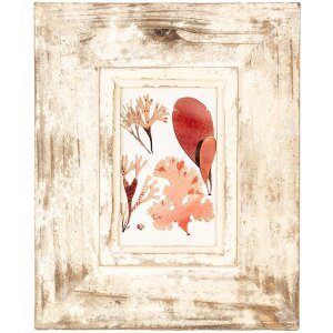 Clayre & Eef 2F1098 Fotorahmen Antik Beige 24x3x29 cm...