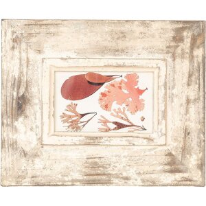 Clayre & Eef 2F1098 Rama foto Antique Beige 24x3x29 cm pentru fotografie 10x15 cm