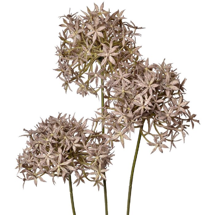 Clayre & Eef 6PL0326G Dekoration Zweig mit Blumen Violett 10x10x62 cm