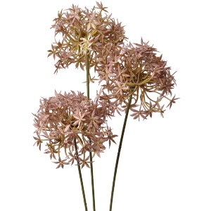 Clayre & Eef 6PL0326P Deko Zweig mit Blumen Rosa 10x10x62 cm