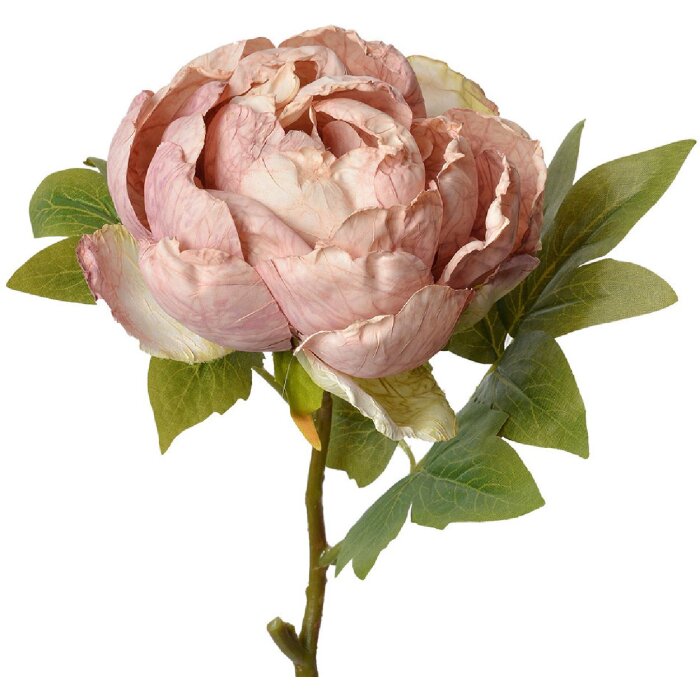 Clayre & Eef 6PL0335 Floare artificială trandafir roz 10x10x48 cm