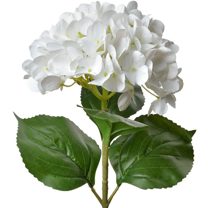 Clayre & Eef 5PL0137W Künstliche Blume Weiß Grün 16x15x68 cm