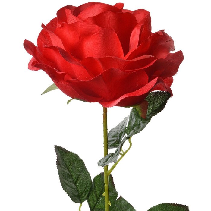 Clayre & Eef 5PL0138R Kunstblume Rose Rot Grün 19x19x75 cm