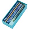 Goldbuch Set lieblingsSTIFT & Mäppchen Natures Melody Blue Geschenkbox