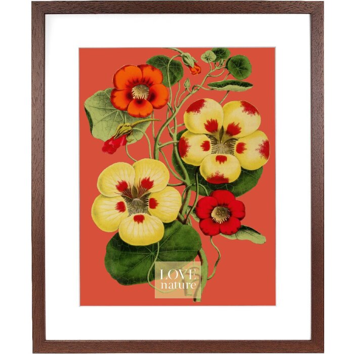 Goldbuch Rustiq ramă foto maro 40x50 cm cu passe-partout 30x40 cm