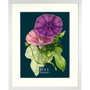 Goldbuch Bilderrahmen Rustiq Weiß 40x50 cm mit...