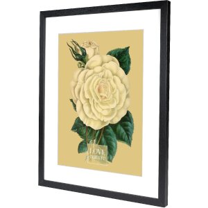 Goldbuch Bilderrahmen Rustiq schwarz 40x50 cm mit Passepartout 30x40 cm