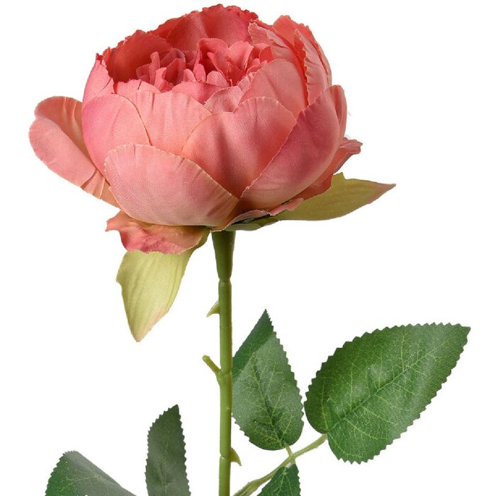 Clayre & Eef 6PL0366DP Kunstblume Rose 8x8x62 cm