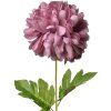 Clayre & Eef 5PL0133PA Künstliche Blume Violett 15x15x80 cm