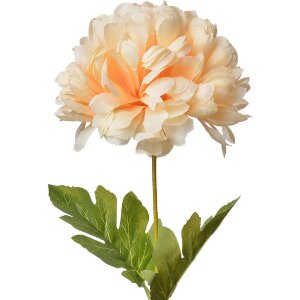 Clayre & Eef 5PL0133Y Floare artificială 15x15x80 cm