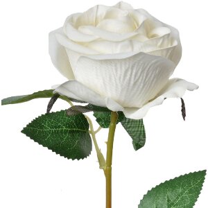 Clayre & Eef 6PL0359W Kunstblume Rose 8x8x50 cm