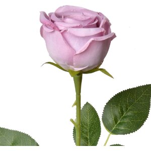 Clayre & Eef 6PL0369LPA Floare artificială Trandafir...