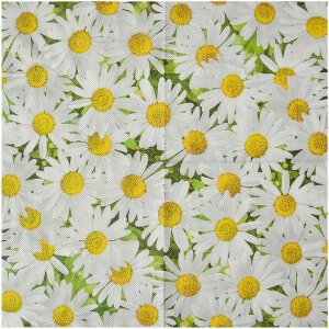 Clayre & Eef 73076 Șervețele de hârtie...