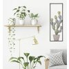 Mauro Ferretti decor de perete cactus cadru 31x2.5x90 cm verde albastru deschis