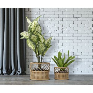 Mauro Ferretti Blumenständer Panama 2er-Set Ø 30x25-22x18 cm braun