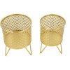 Mauro Ferretti Blumenständer Ceci 2er-Set Ø 16x20 und 13x20 cm gold