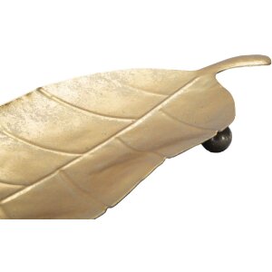 Mauro Ferretti castron decorativ frunze lungi 38x3x11 cm aur