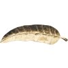 Mauro Ferretti castron decorativ frunze lungi 38x3x11 cm aur