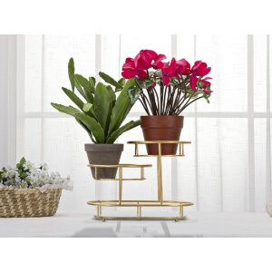 Mauro Ferretti Dekoschale 3 Levels 36x22,5x27 cm gold