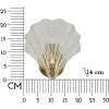 Luminoare de perete Mauro Ferretti Shell E14 20x14x22 cm aur natural