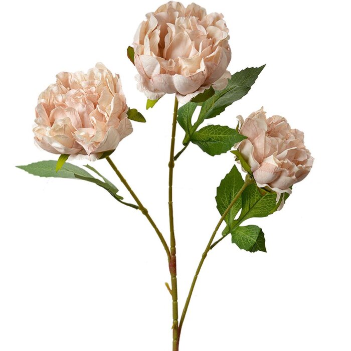 Clayre & Eef 5PL0166P Dekozweig mit rosa Blumen 12x8x80 cm