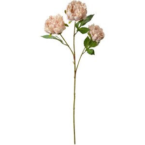 Clayre & Eef 5PL0166P Dekozweig mit rosa Blumen 12x8x80 cm