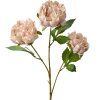 Clayre & Eef 5PL0166P Dekozweig mit rosa Blumen 12x8x80 cm