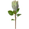 Clayre & Eef Floare artificială 6PL0389GR Verde 65 cm Protea Plastic