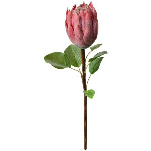 Clayre & Eef 6PL0389P Floare artificială Protea roz 65cm