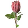 Clayre & Eef 6PL0389P Floare artificială Protea roz 65cm