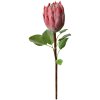 Clayre & Eef 6PL0389P Floare artificială Protea roz 65cm