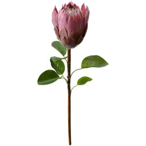 Clayre & Eef 6PL0389PA Floare artificială Violet 65 cm