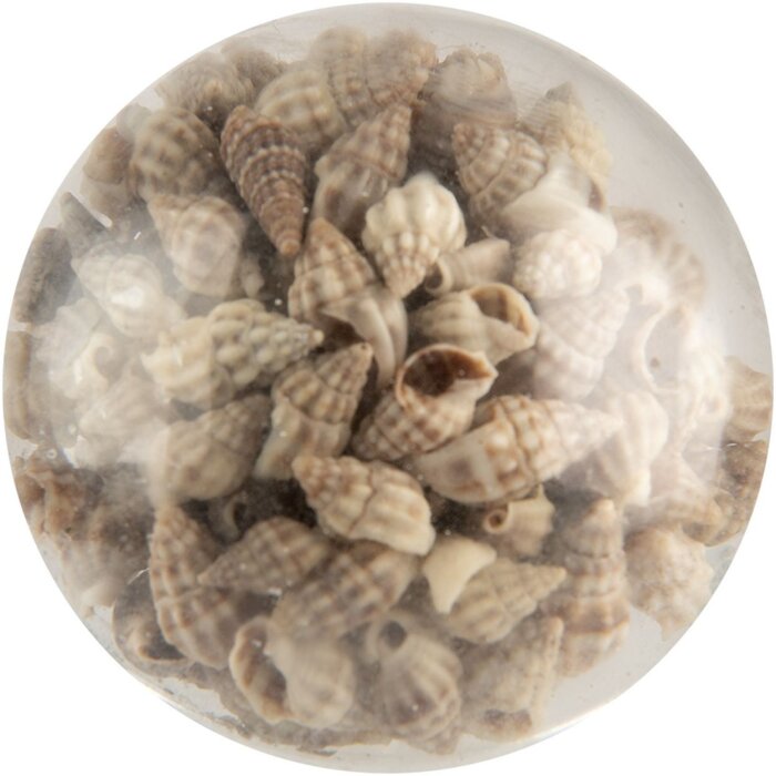 Clayre & Eef buton ușă sticlă coajă decor bej Ø5x4 cm țară casă nautic