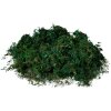 Clayre & Eef 66109 Covor de mușchi verde 40x30x1 cm Decorațiuni de Crăciun Artizanat