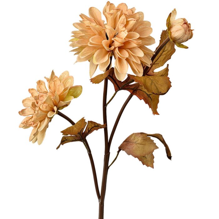 Clayre & Eef 6PL0387BE Floare artificială bej maro 10x10x66 cm