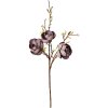Clayre & Eef 5PL0169BL Creangă decorativă Violet Brown 106 cm Plastic