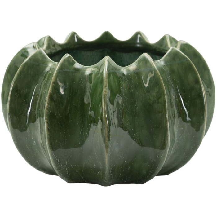 Mauro Ferretti Übertopf Kaktus-Korb Ø 22x13,5 cm